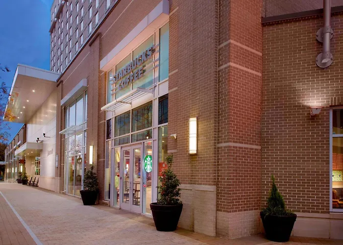 Best Kid Friendly Hotels in Raleigh - Hotels Review by Fernanda Bahiense